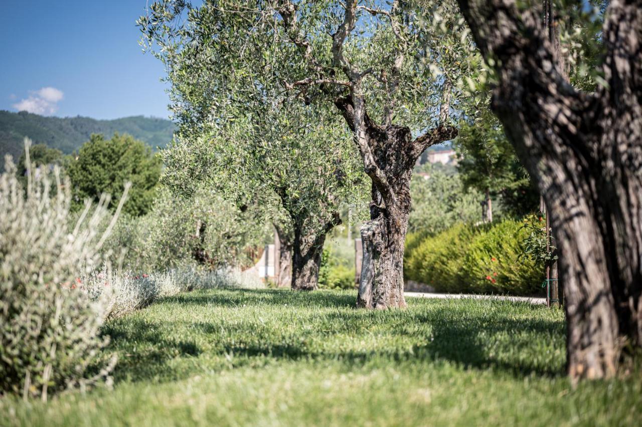Terre Di Cocomo Borgo a Buggiano Exterior photo